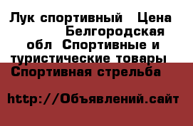 Лук спортивный › Цена ­ 3 500 - Белгородская обл. Спортивные и туристические товары » Спортивная стрельба   